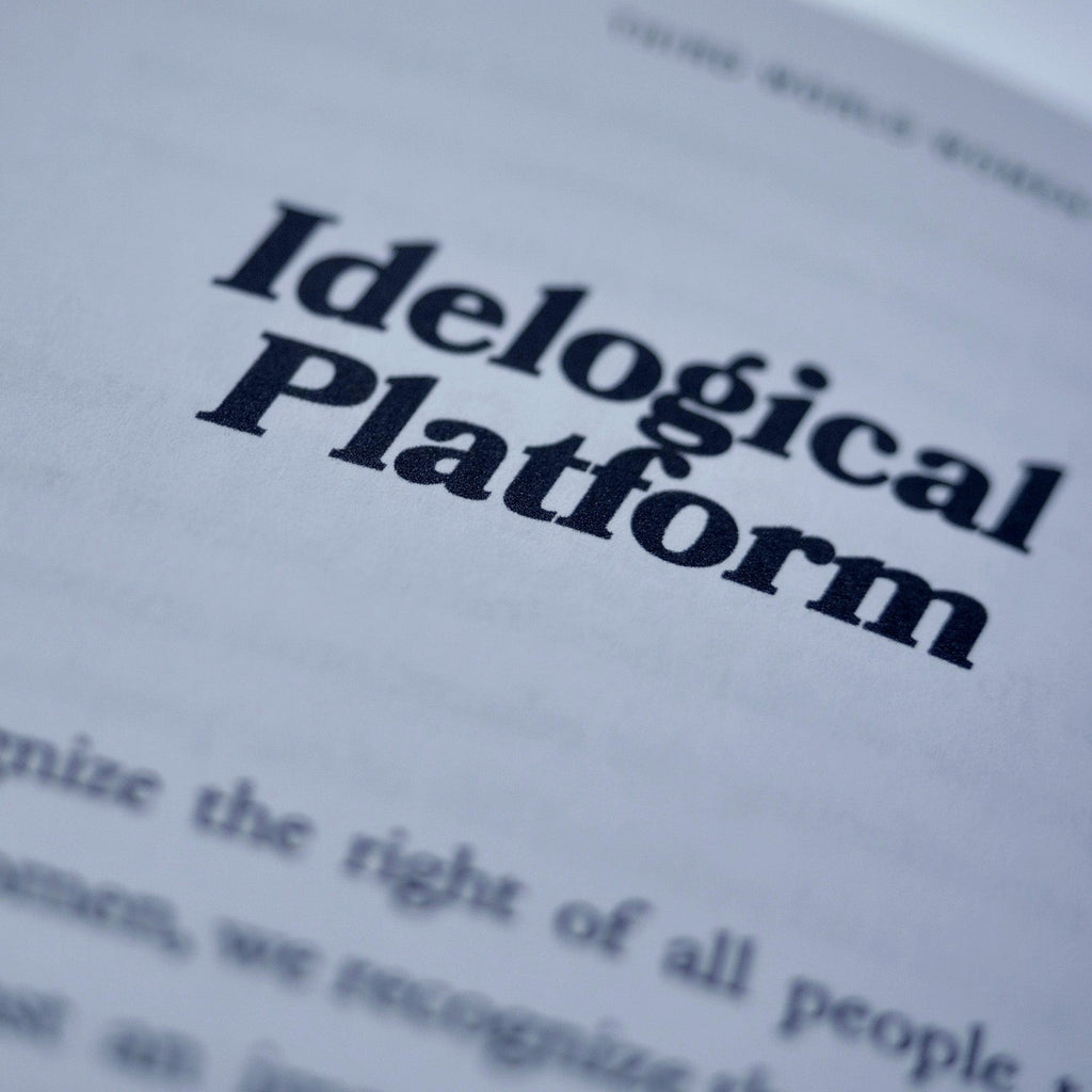 1971: Women In the Struggle (Third World Women's Alliance)