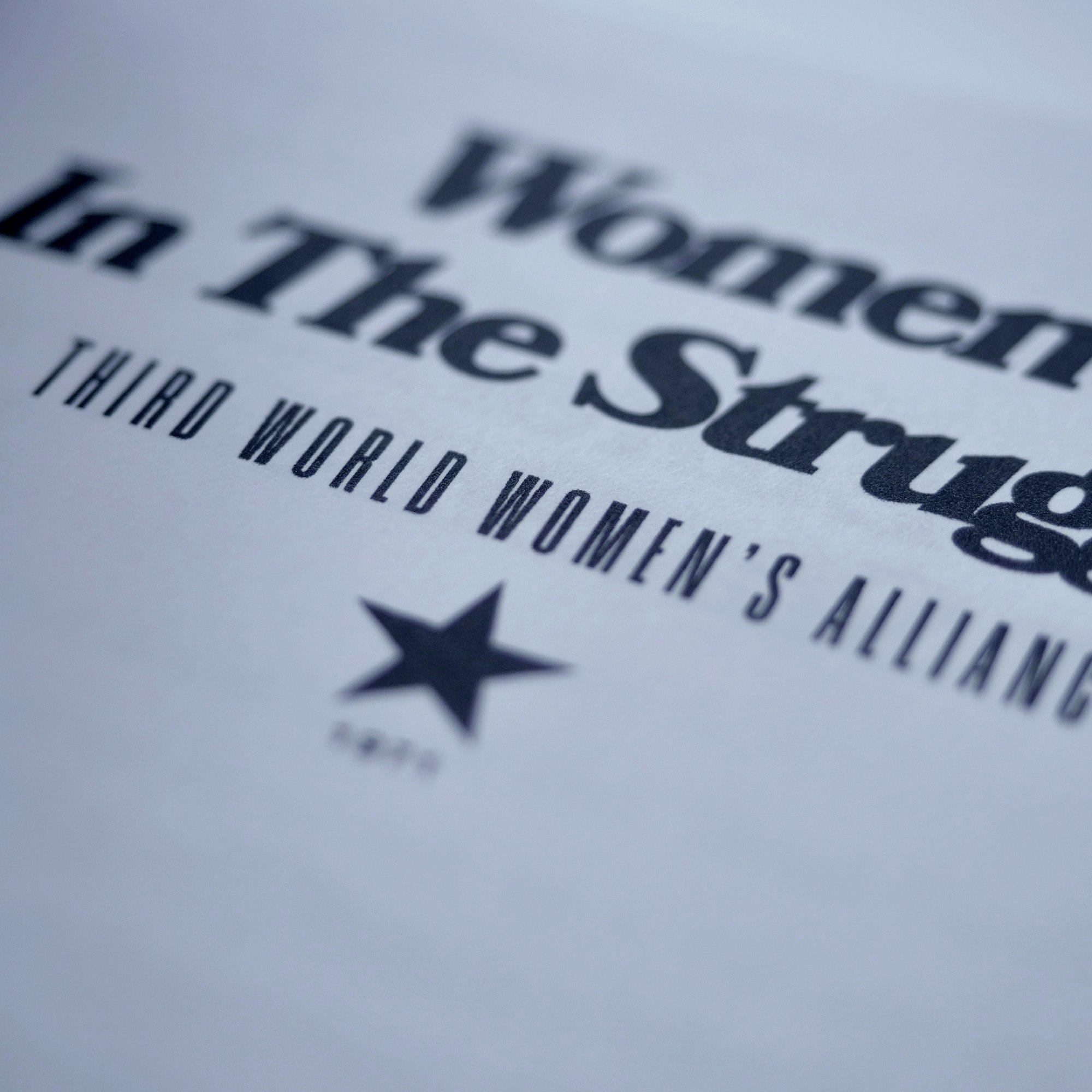 1971: Women In the Struggle (Third World Women's Alliance)