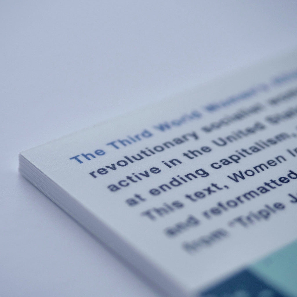 1971: Women In the Struggle (Third World Women's Alliance)