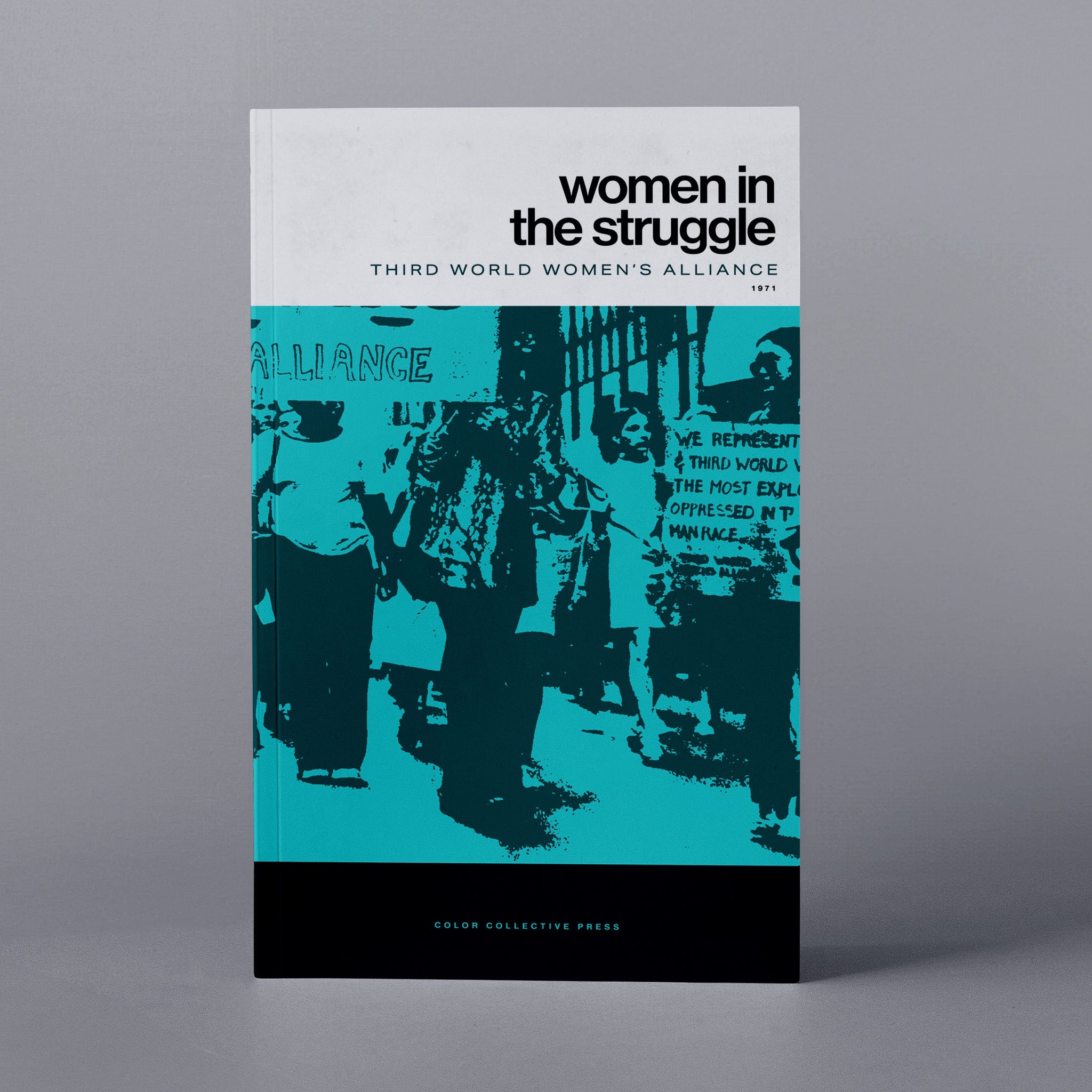1971: Women In the Struggle (Third World Women's Alliance)