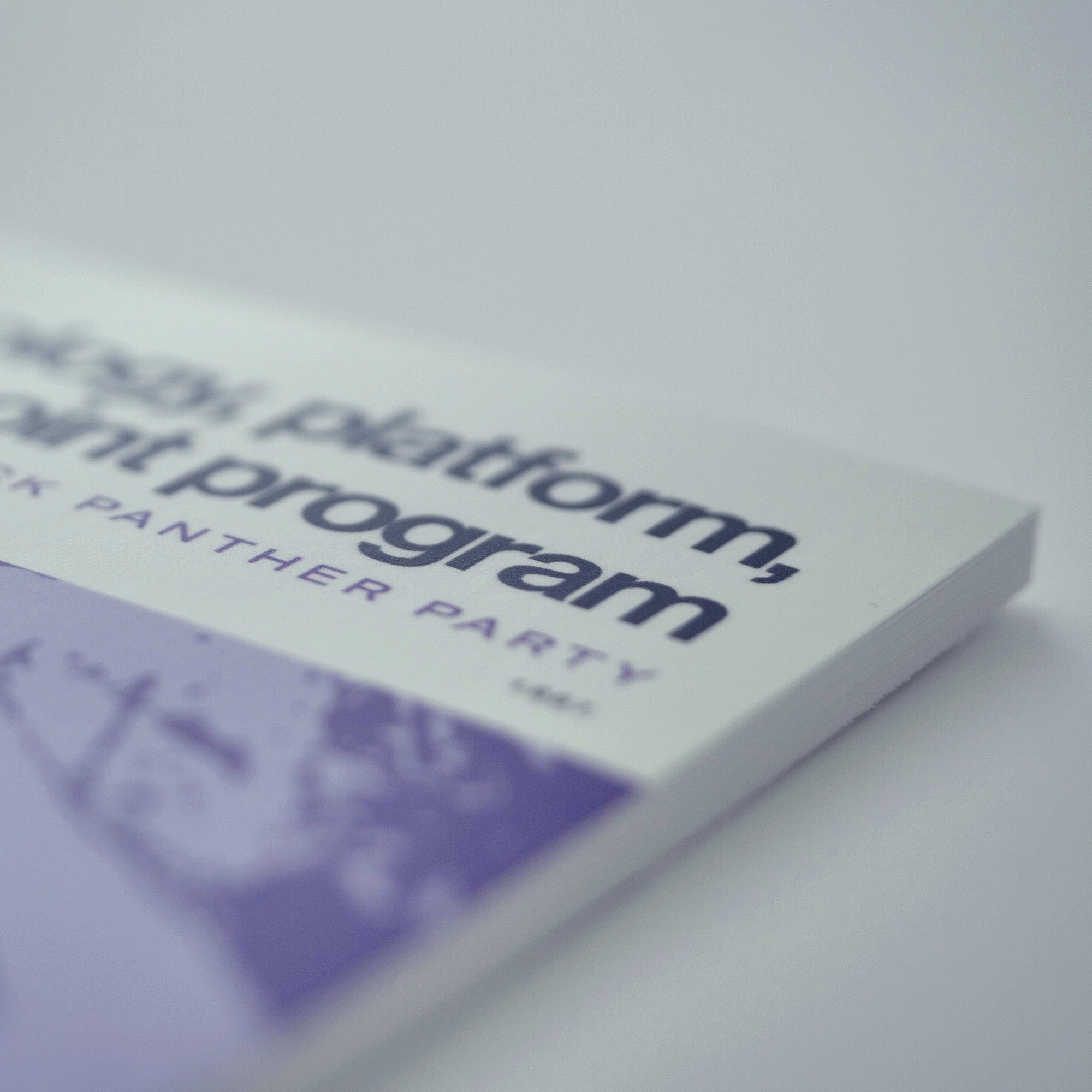 1967: Ideology, Platform, and 10-Point Program (Black Panther Party)