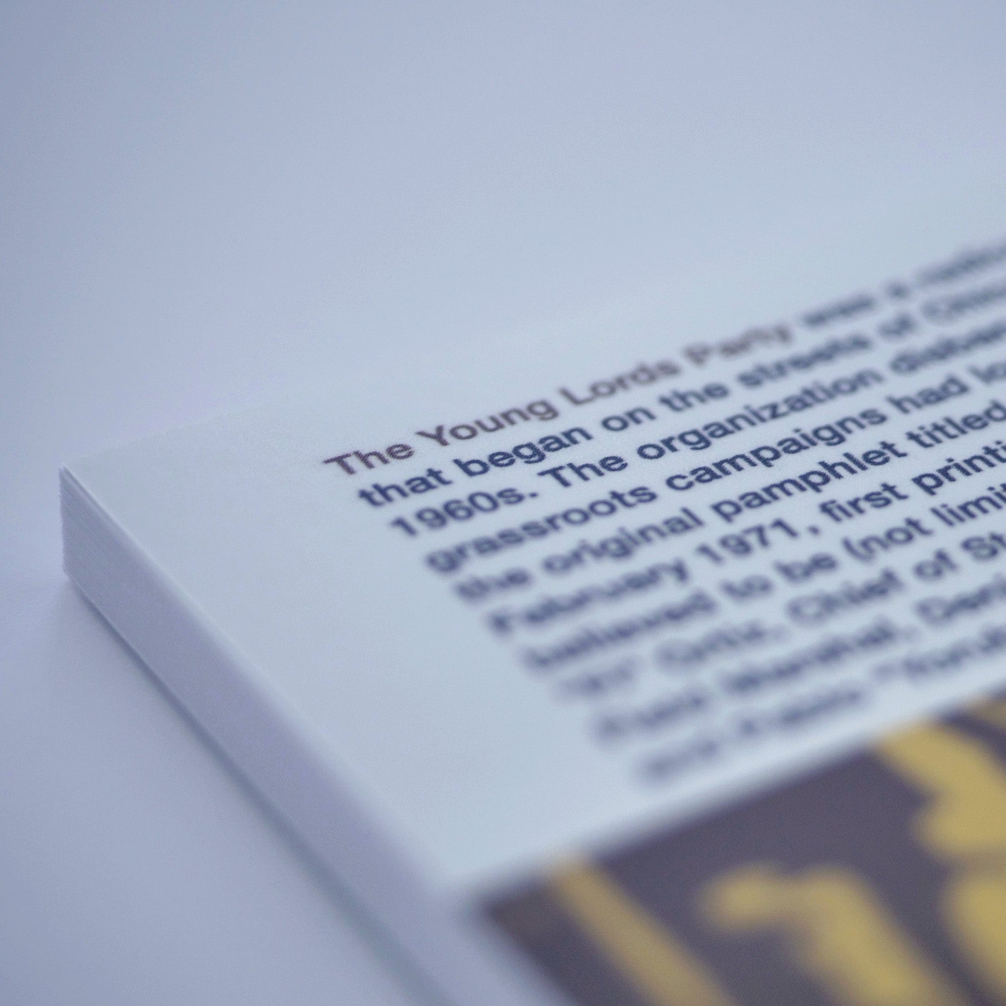 1970: Ideology and 13-Point Program (Young Lords Party)