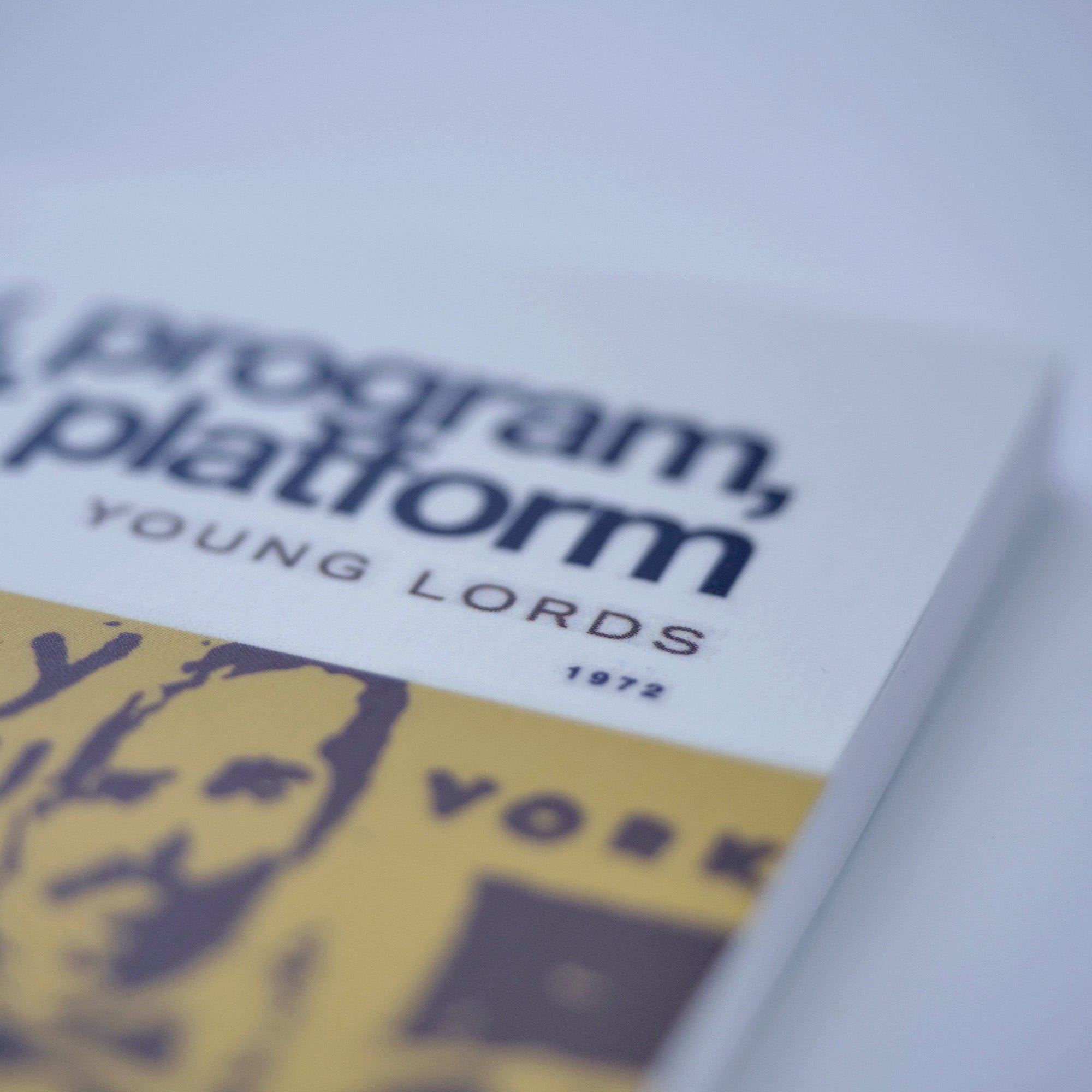 1970: Ideology and 13-Point Program (Young Lords Party)